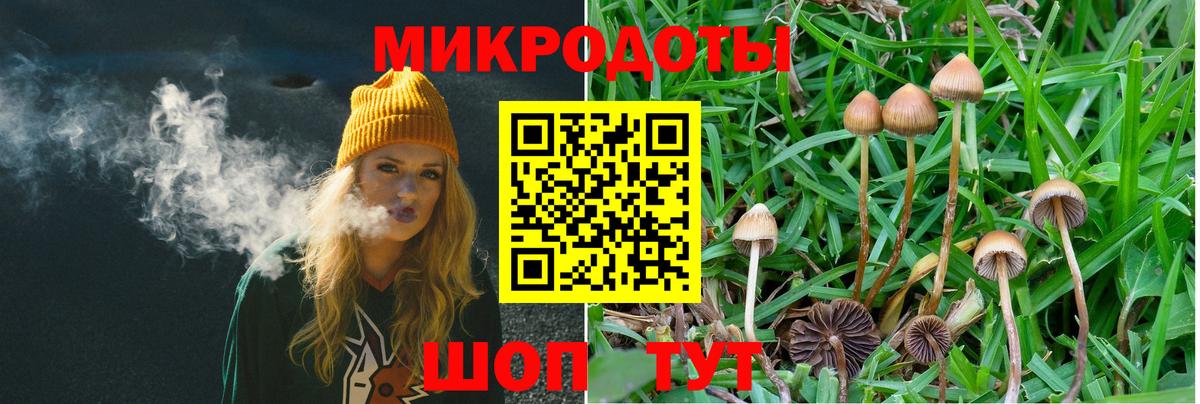 Галлюциногенные грибы мухоморы Костомукша
